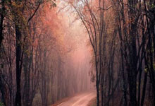 J9：全运会男单冠军太难拿，王楚钦这回不是大热门，这2人有望夺冠.