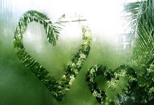 日天模式再启！库里31中16&三分20中12爆砍52分10板8助5断.