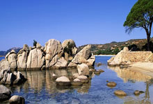 J9：欧联：曼彻斯特联队遭费内巴切 以1比1逼和.